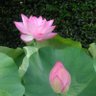 Фото профиля SUNSHINE工房