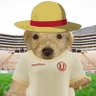 El MⓊgiCrema's profile picture