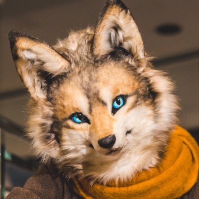 アンバー / Amber's profile picture