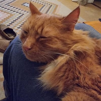 OldYesButWise's profile picture