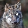 Profilbild von Lore