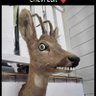 Quebecirish profil fotoğrafı