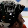 Gator Hockeying 🐊🏒 profil fotoğrafı