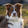 Profilbild von TxBronco