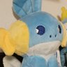Mudkip 的头像