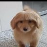 רמבו profil fotoğrafı