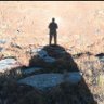 ROLLIE's profile picture