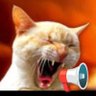 Chow🫶Nice.Tak Hai Bin's profile picture