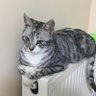 NilgnMte's profile picture