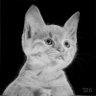 Profilbild von Hadjii