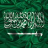Badr Alwashtan 的头像
