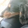 てっち's profile picture