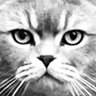 Profilbild von TaIitha
