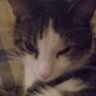 Profilbild von PandaMonium