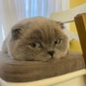 D N's profile picture