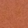 hasan's profile picture
