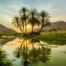 Profilbild von الحربي