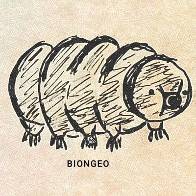 Ion Ormazabal's profile picture