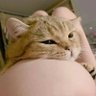 喜欢欧派的傻子's profile picture