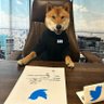 Фото профиля Doge