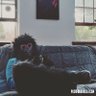 SOUTHSIDE RILLA profil fotoğrafı