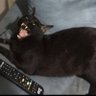 Gabriel's profile picture