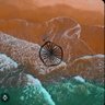 Bharatiya 🇮🇳☀️🌈 🌟's profile picture