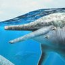Rexy the Sea Blimp's profile picture