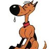 Rantanplan's profile picture