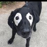 Profilbild von ciro….2