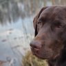 Charlie's profile picture