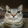 Profilbild von douan