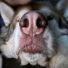 Mark Thiessen's profile picture