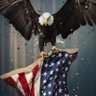 Фото профиля MrsPatriot77