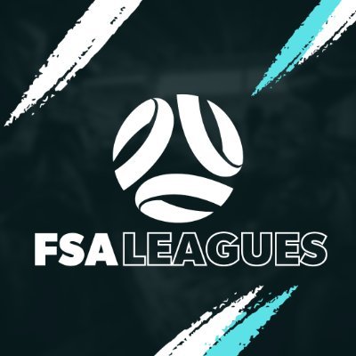 FSALeagues's profile picture