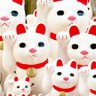 Фото профиля 福猫🐈️(三毛猫Mommy)