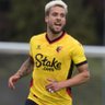 LewisF🐝🇧🇪🏴's profile picture