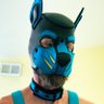 PuppyBruske profil fotoğrafı