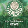 Фото профиля HojeTemPalmeirasNews