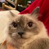 Profilbild von Yogurt_233