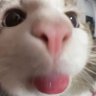 darb's profile picture