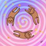 cici's profile picture