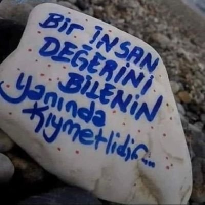 Alialia96236531's profile picture