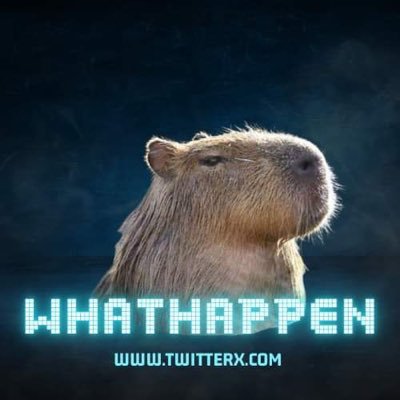 Mr.Hap's profile picture