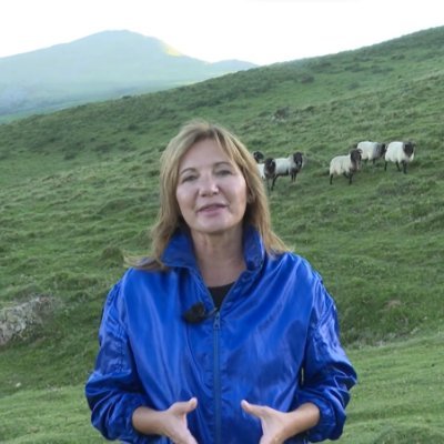 ANNA GRIMAU's profile picture