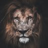 Robert_John's profile picture