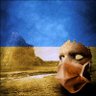 G0rd0n Freedude 🇬🇷🇺🇦🇮🇱's profile picture