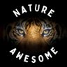 Фото профиля Nature is Awesome