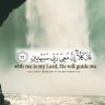 Фото профиля 🔻فلسطين ابدية🇵🇸