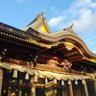 Фото профиля ロックハート